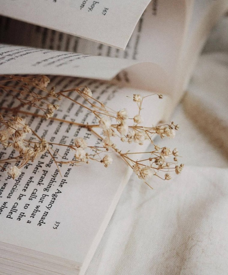 Обои на ноутбук Эстетика бежевый Пинтерест