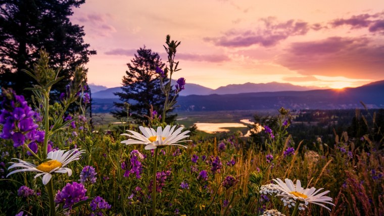 Красивое лето