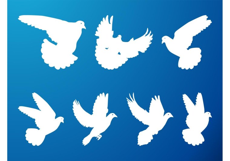 Голубь очертание