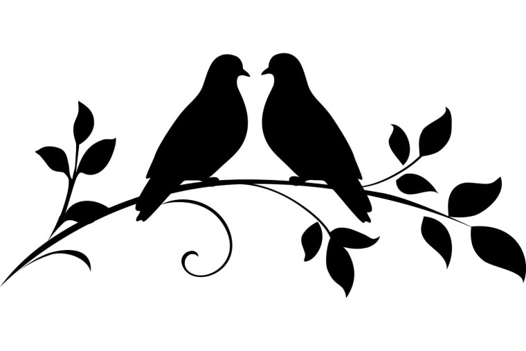 Голубь одной линией