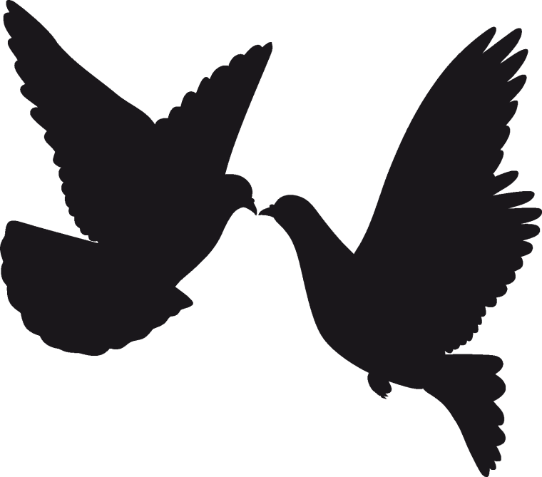 Трафареты птиц для декора