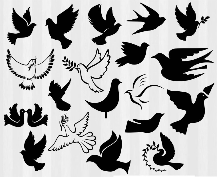 Птица контур вектор