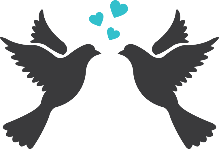 Свадебные голуби вектор