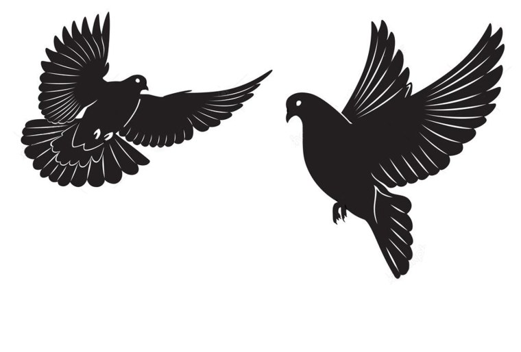 Голубь вектор