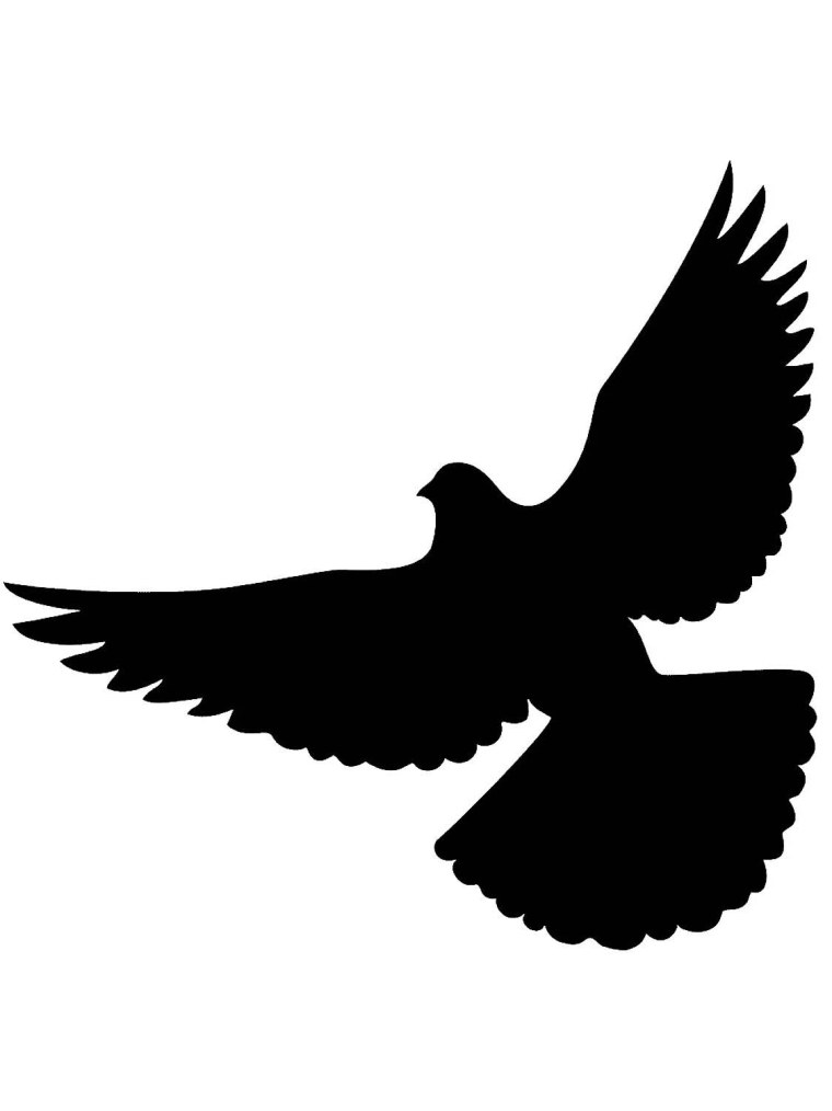 Силуэт птицы