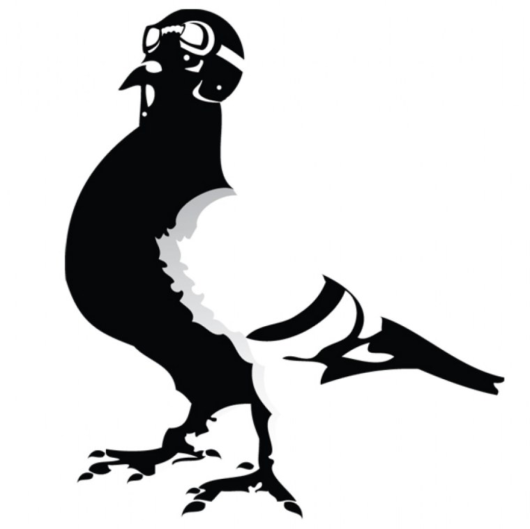 Голуби для распечатки