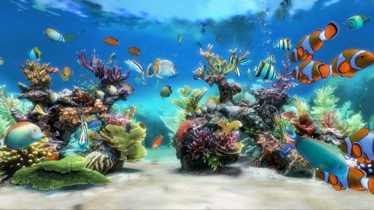 Живой аквариум