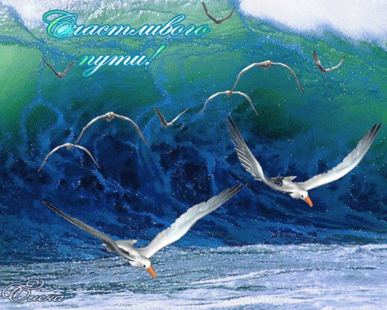 Грудничковое плавание