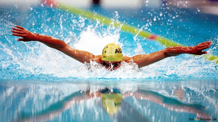 Люди купаются в бассейне