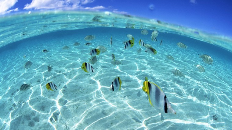 Обои на рабочий стол море