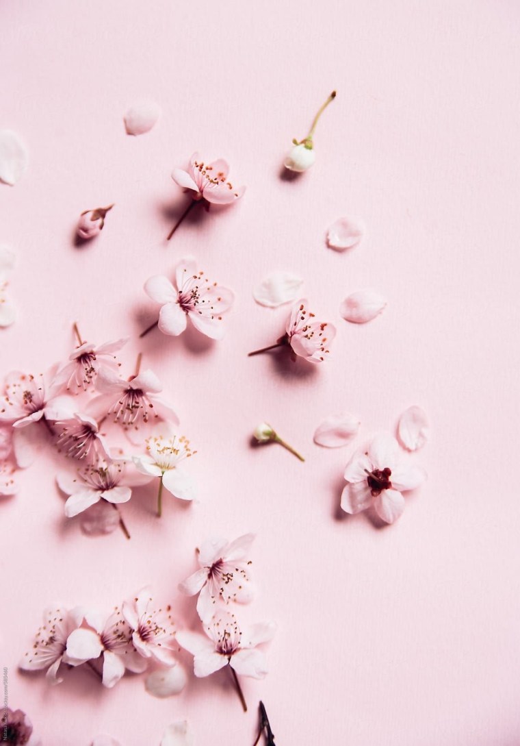 Софт обои на телефон Эстетика