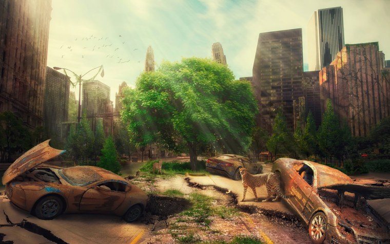 Обои на рабочий стол апокалипсис