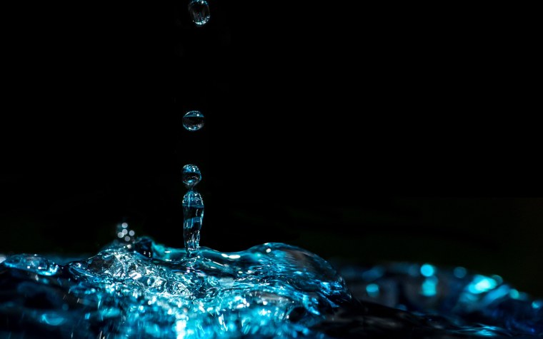 Черника ягоды макро