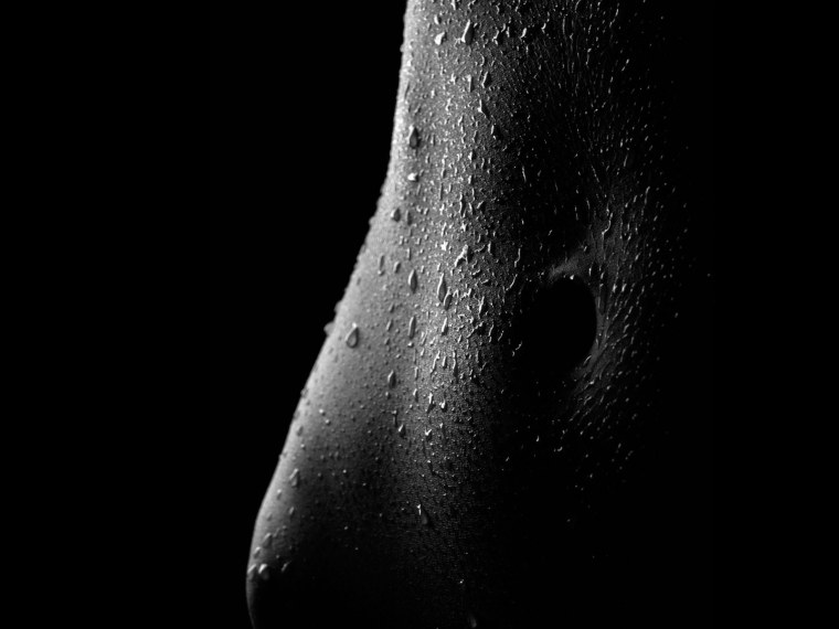 Брызги воды