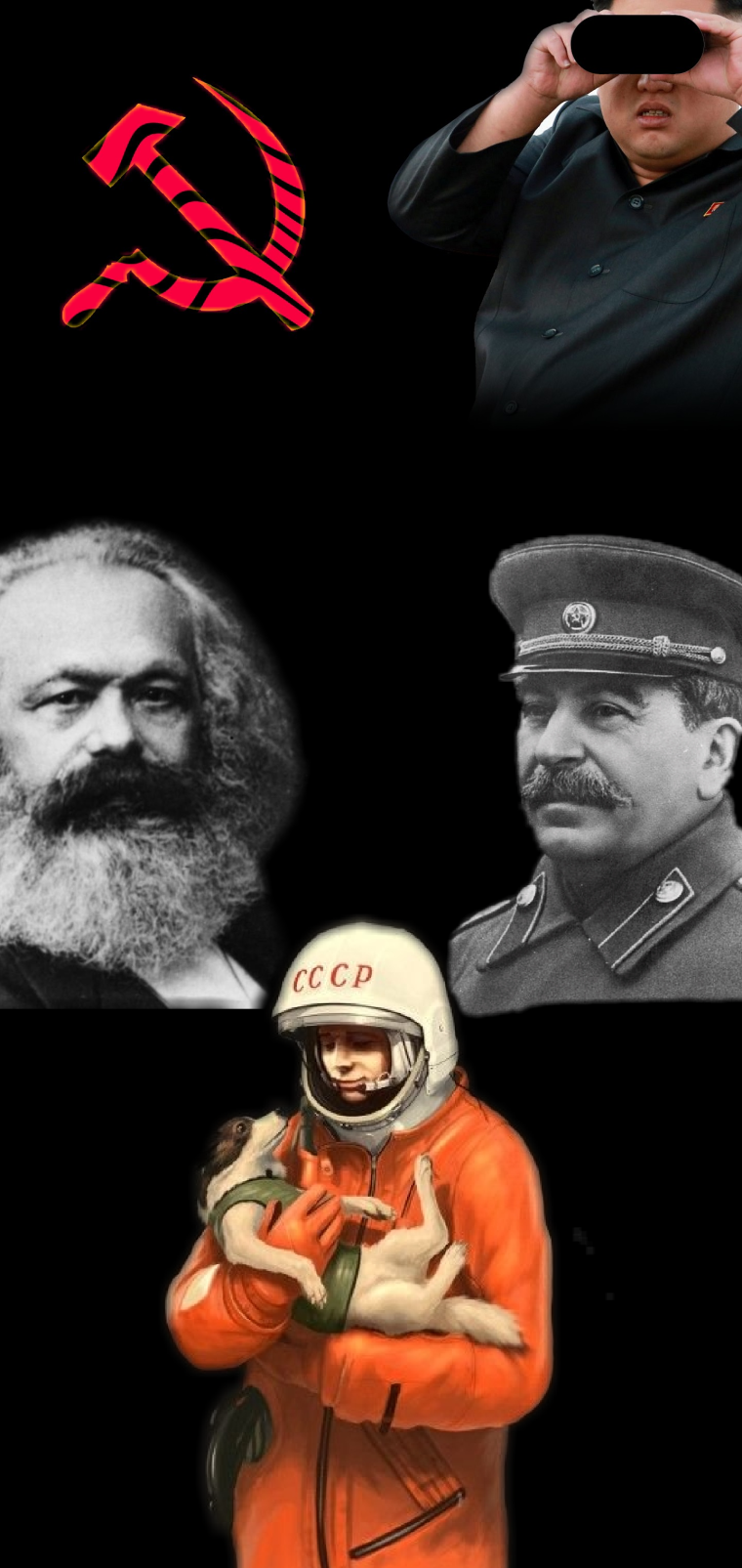 Обои для маскировки выреза под камеру