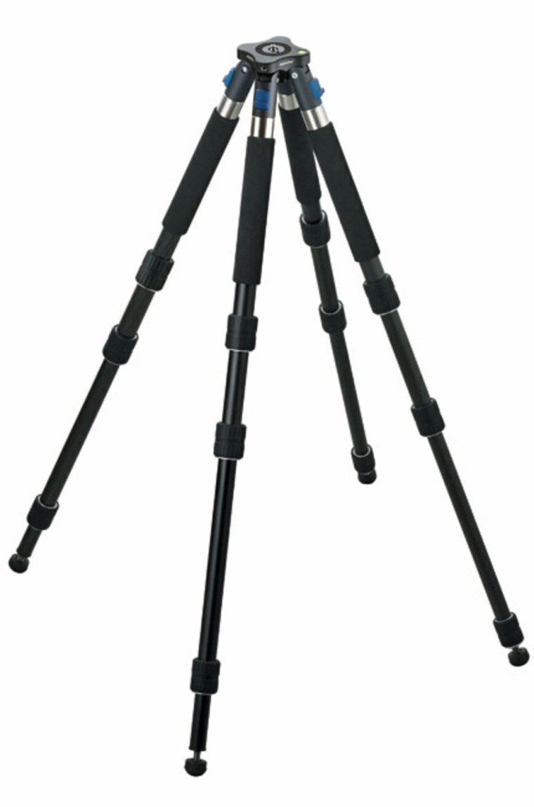 Шерсть животных