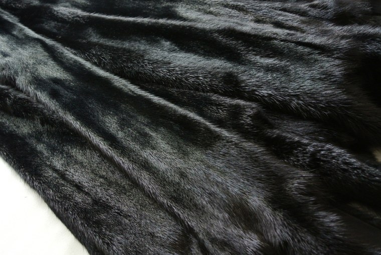 Текстура ежика