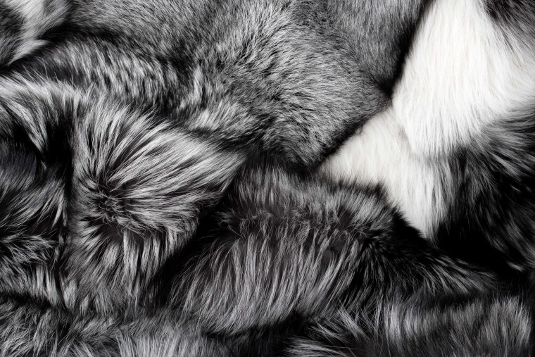 Шерсть зверей