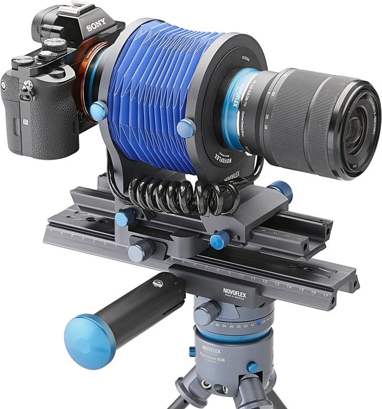 Грибы абстракция