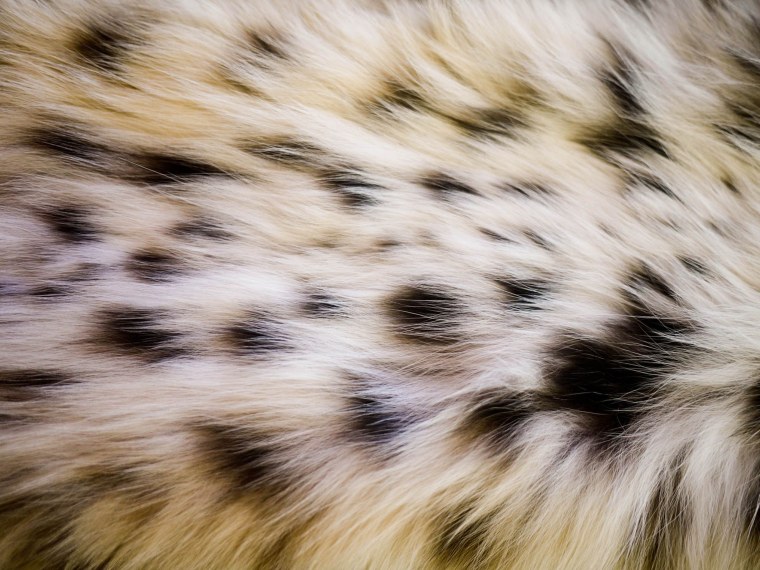 Щетка для меха овчины