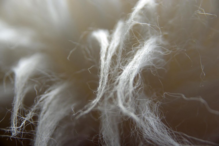 Лисья шерсть