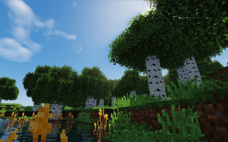 Березовый лес майнкрафт 1.19