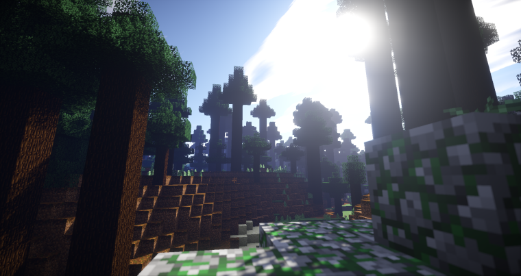 Тайга майнкрафт с шейдерами