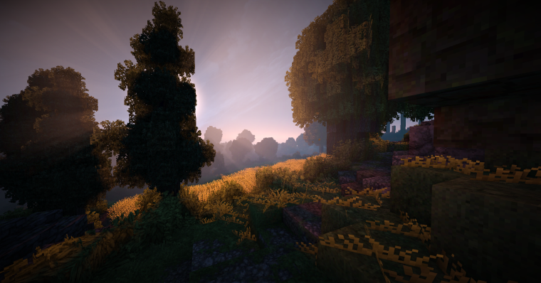 Лес с шейдерами