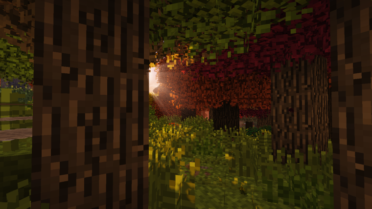 Тёмный лес майнкрафт