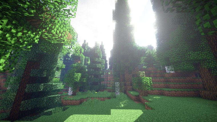 Джунгли майнкрафт с шейдерами