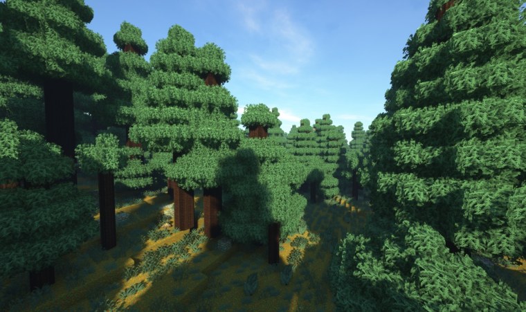 Майнкрафт лес с шейдерами