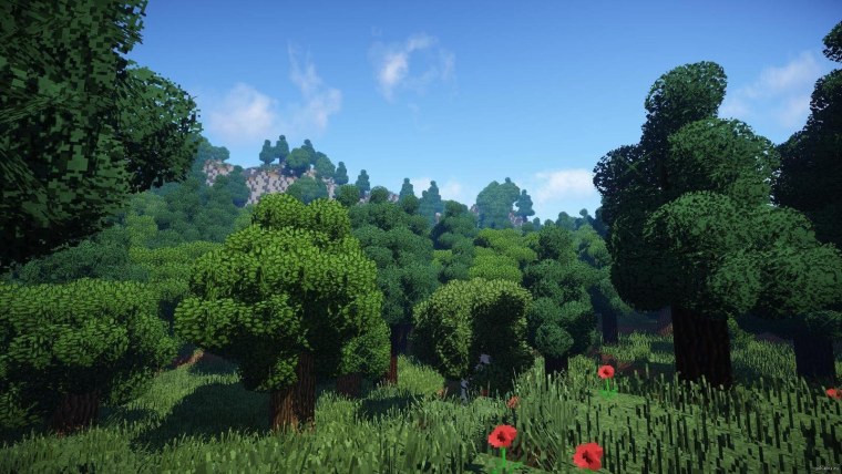 Майнкрафт лес шейдеры