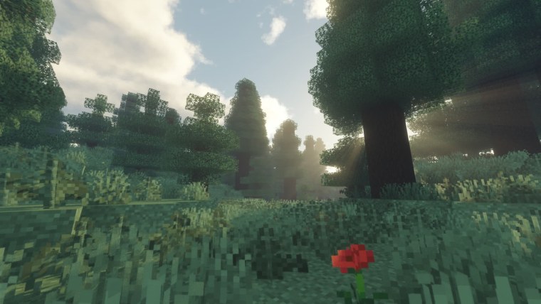 Тайга майнкрафт с шейдерами