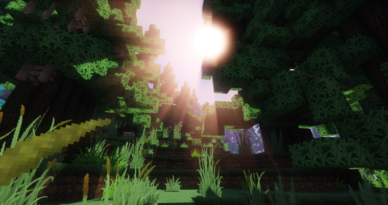 Дубовый лес майнкрафт