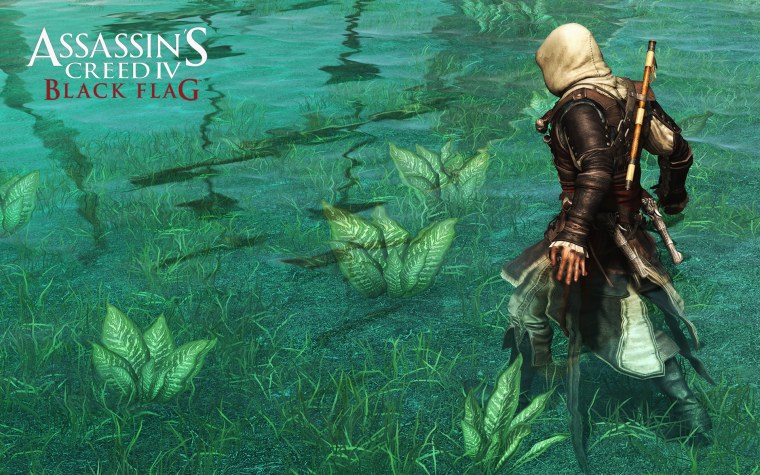 Пиратский флаг из ассасин Крид Блэк флаг