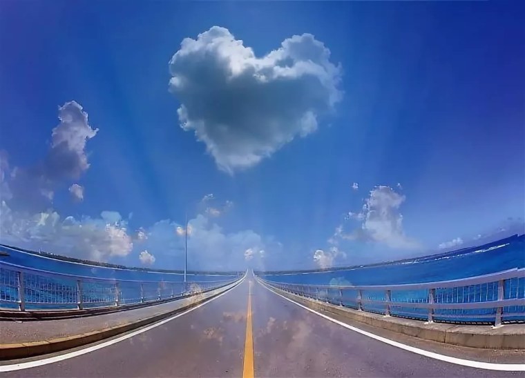 Железная дорога и котики