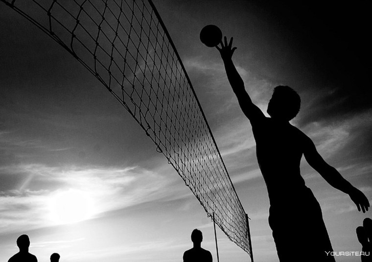 Хобби волейбол