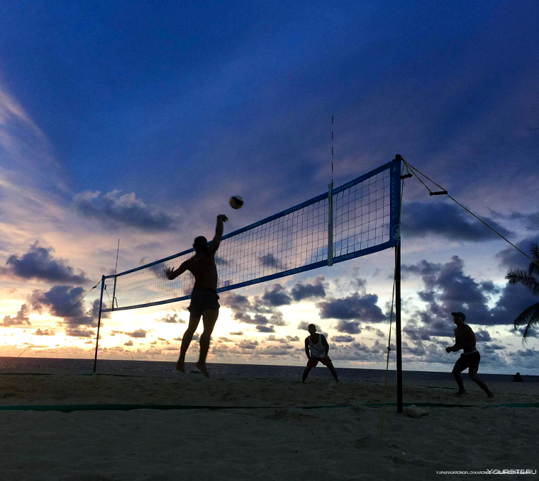 Сетка волейбольная