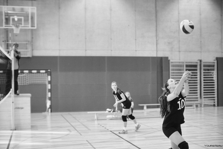 Эстетика волейбола коллаж