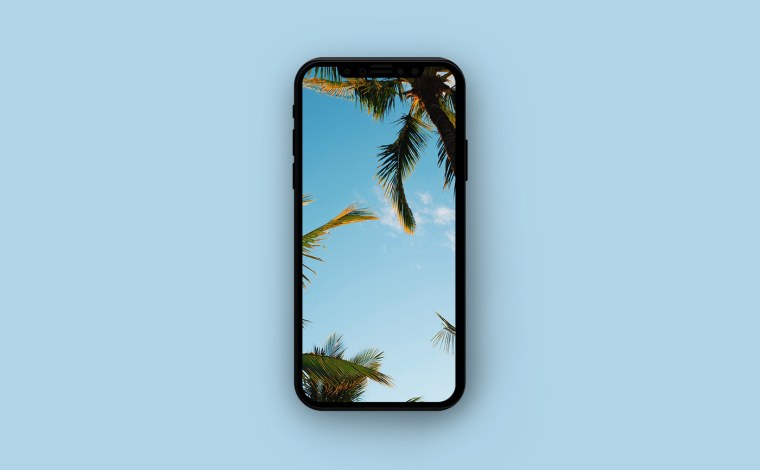 Пальмы на айфон