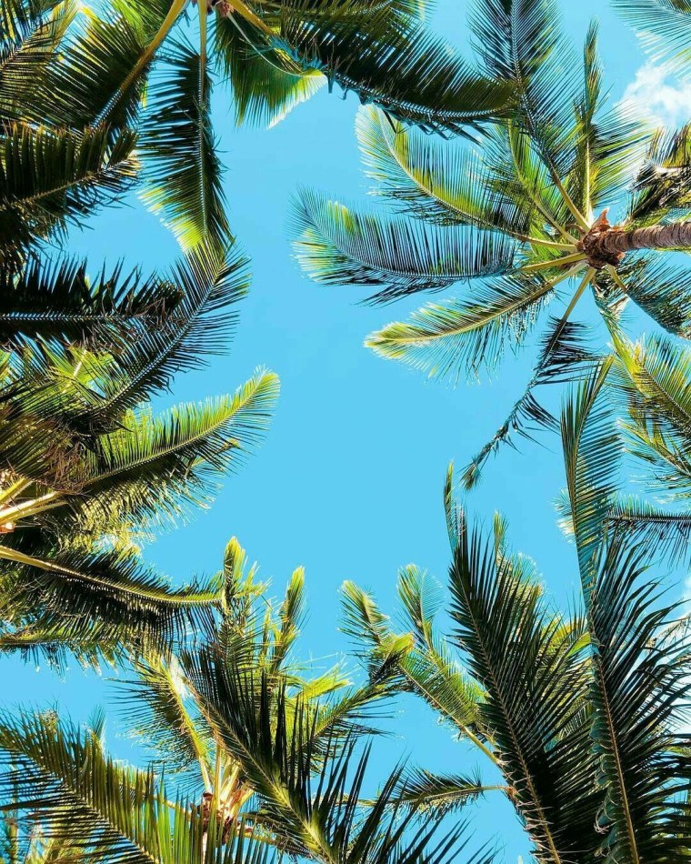 Неон Сунсет