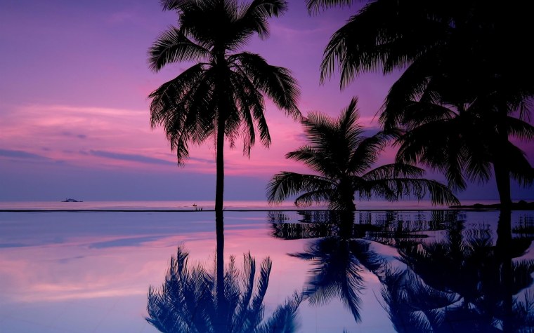 Обои на рабочий стол 1920х1080 пальмы