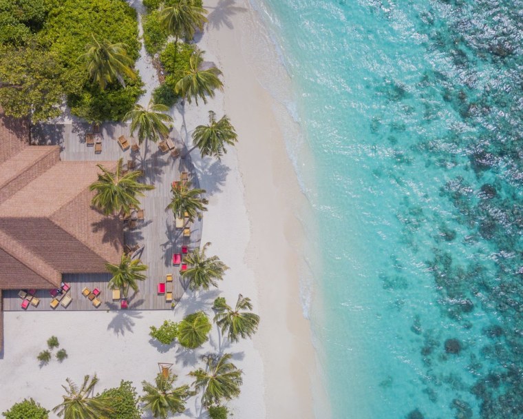 Минималистичные пальмы