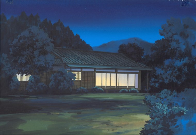 Япония Минка ночь