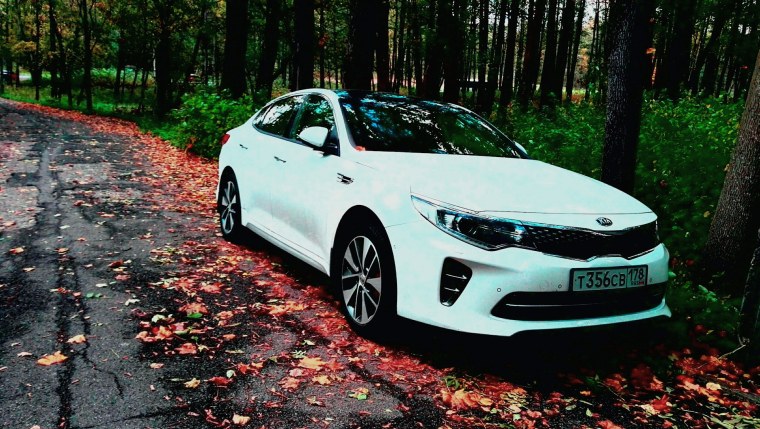 Киа Оптима к5 белая