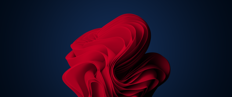 Красивые обои для Windows 11