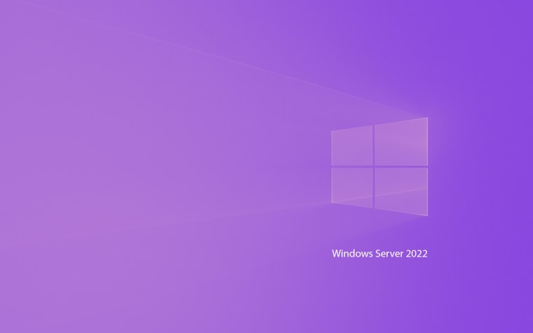 Windows 11 Server 2022