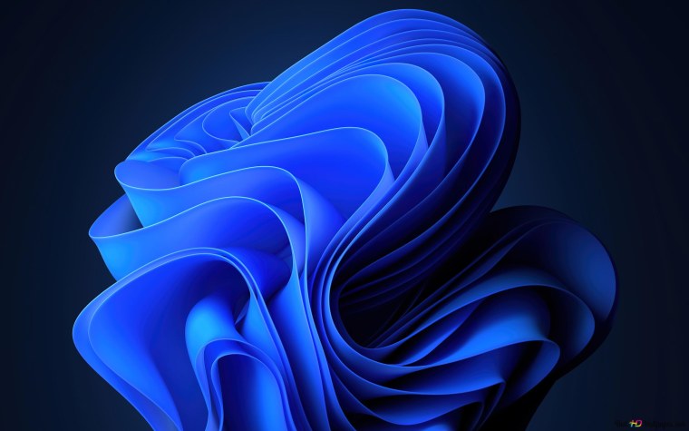 Windows 11 screenshot