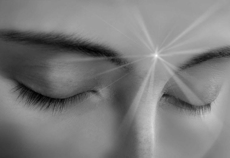 Интуиция программа