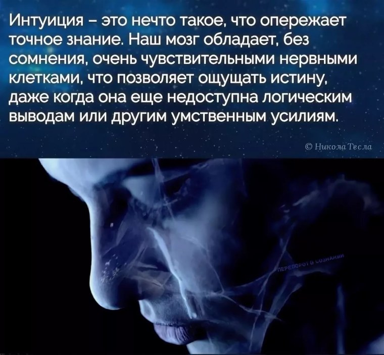 Интуиция цитаты